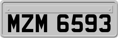 MZM6593