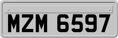 MZM6597