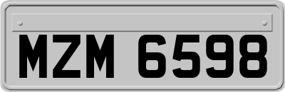 MZM6598