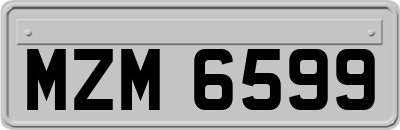 MZM6599
