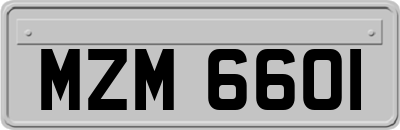 MZM6601