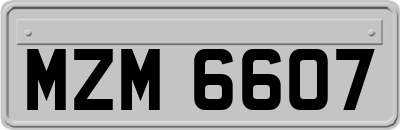 MZM6607