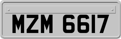 MZM6617