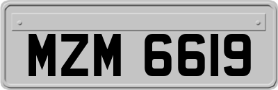 MZM6619