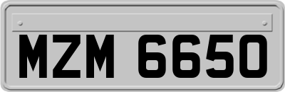 MZM6650
