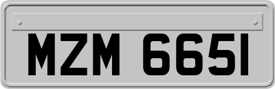MZM6651