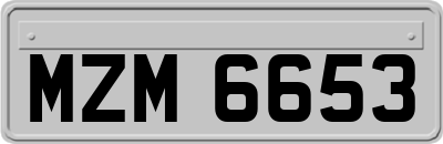 MZM6653