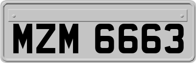 MZM6663