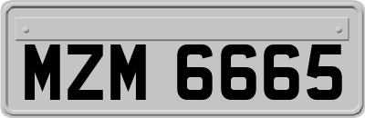 MZM6665