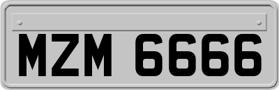 MZM6666