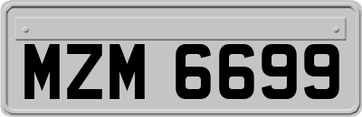 MZM6699