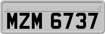 MZM6737