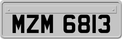 MZM6813