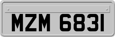 MZM6831