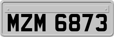 MZM6873