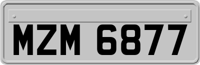 MZM6877