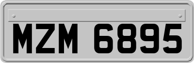 MZM6895