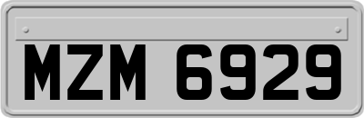 MZM6929