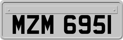 MZM6951