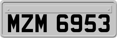 MZM6953
