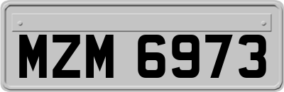 MZM6973