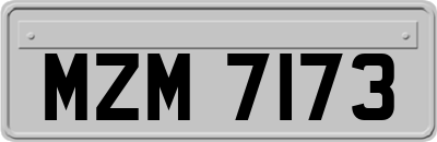 MZM7173