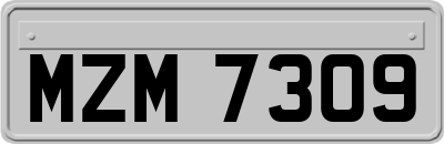 MZM7309