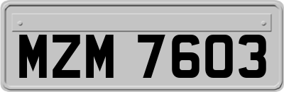 MZM7603