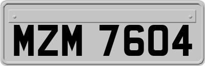 MZM7604