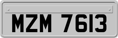 MZM7613