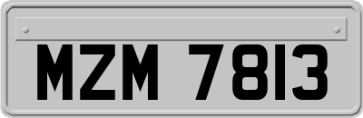 MZM7813