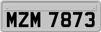 MZM7873