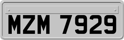 MZM7929