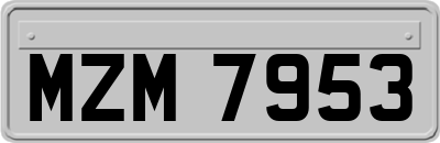 MZM7953