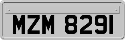 MZM8291
