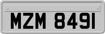 MZM8491