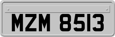 MZM8513