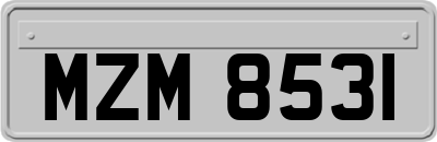 MZM8531