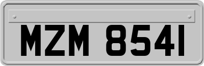 MZM8541