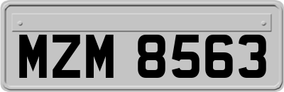 MZM8563