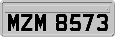 MZM8573
