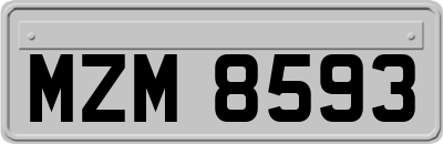 MZM8593