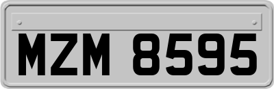 MZM8595