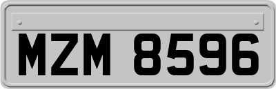 MZM8596