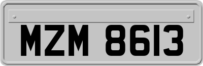MZM8613