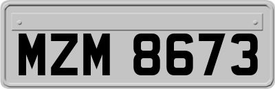 MZM8673