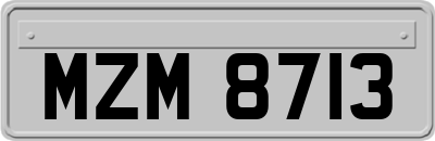 MZM8713