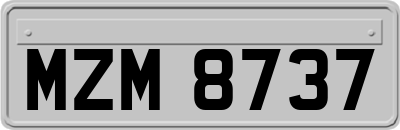 MZM8737