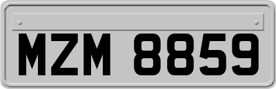 MZM8859