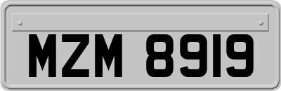 MZM8919